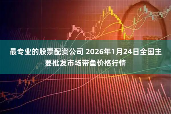 最专业的股票配资公司 2026年1月24日全国主要批发市场带鱼价格行情